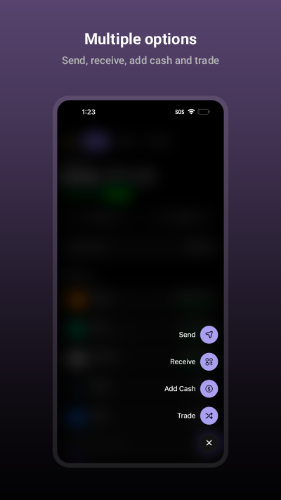 Crypto Wallet Simulator: Multiple options