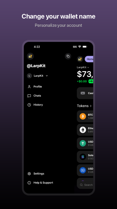 Phantom Simulator: Change your wallet name